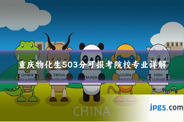 重庆物化生503分可报考院校专业详解