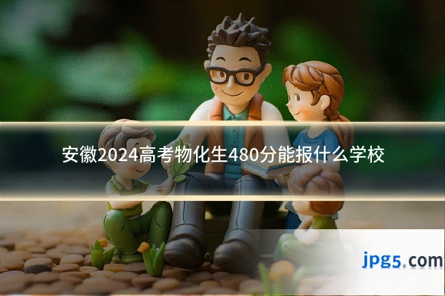 安徽2024高考物化生480分能报什么学校