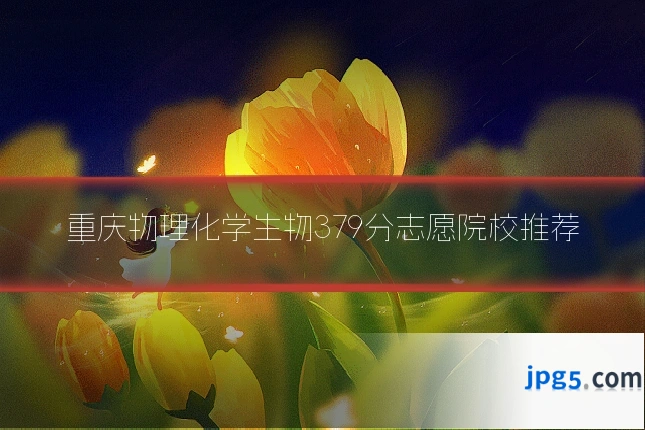重庆物理化学生物379分志愿院校推荐