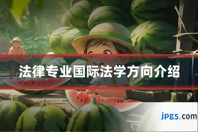 法律专业国际法学方向介绍