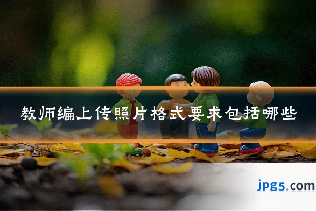 教师编上传照片格式要求包括哪些