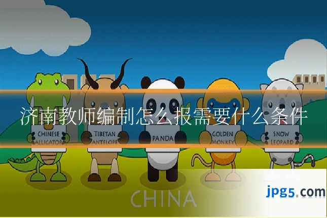 济南教师编制怎么报需要什么条件