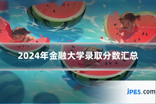 2024年金融大学录取分数汇总