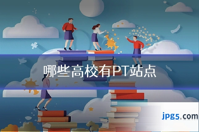 哪些高校有PT站点