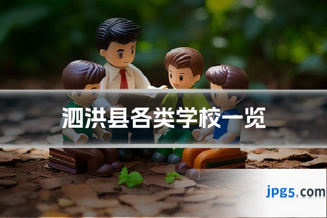 泗洪县各类学校一览