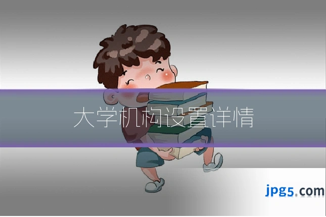 大学机构设置详情
