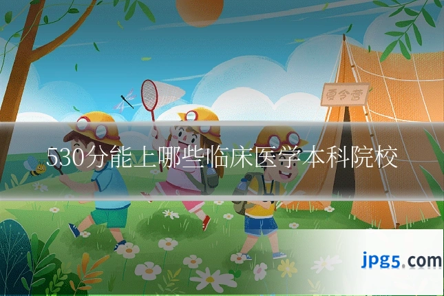 530分能上哪些临床医学本科院校