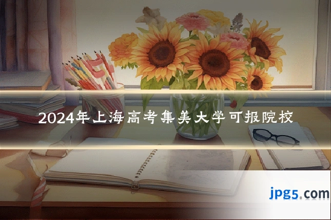 2024年上海高考集美大学可报院校