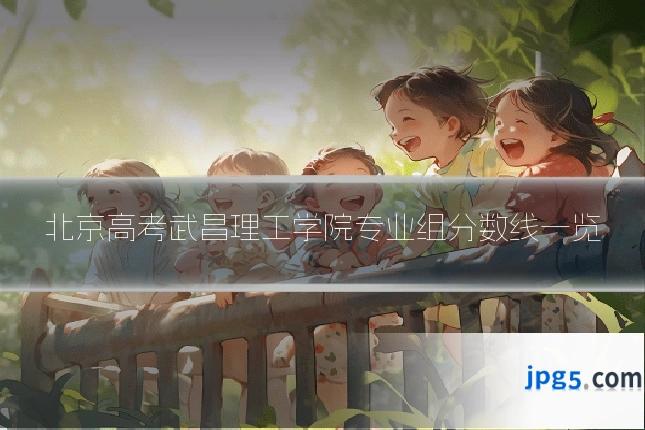 北京高考武昌理工学院专业组分数线一览
