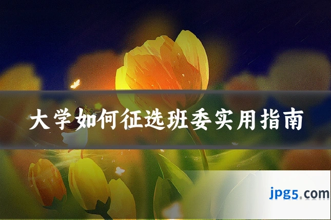 大学如何征选班委实用指南