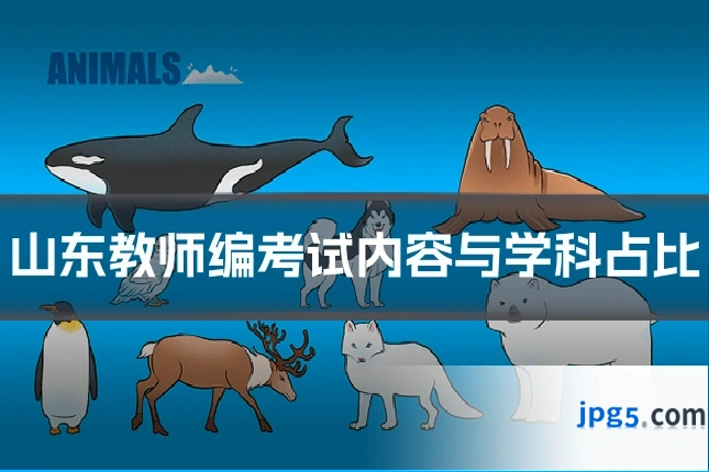 山东教师编考试内容与学科占比