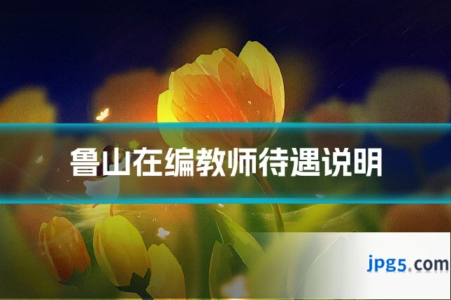 鲁山在编教师待遇说明