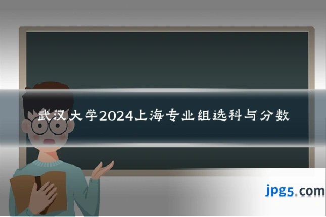 武汉大学2024上海专业组选科与分数
