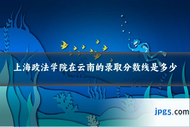 上海政法学院在云南的录取分数线是多少