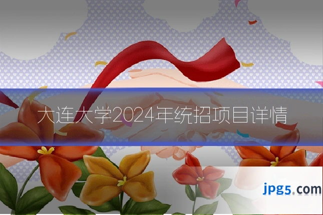 大连大学2024年统招项目详情