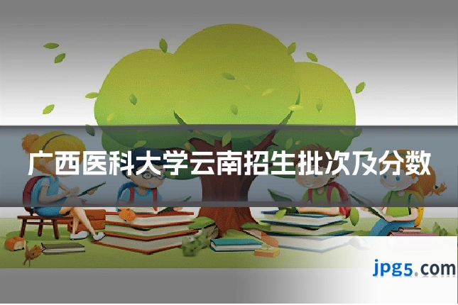 广西医科大学云南招生批次及分数