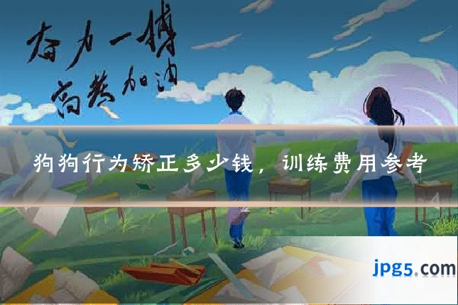 狗狗行为矫正多少钱，训练费用参考
