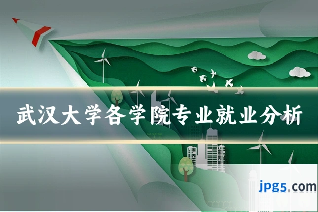 武汉大学各学院专业就业分析