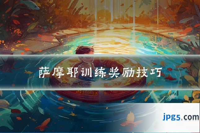 萨摩耶训练奖励技巧