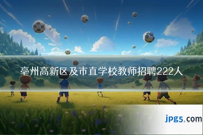 亳州高新区及市直学校教师招聘222人