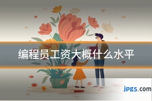 编程员工资大概什么水平