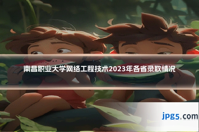 南昌职业大学网络工程技术2023年各省录取情况