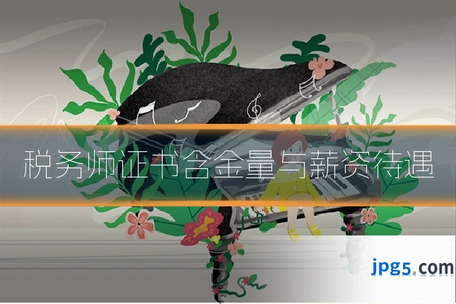 税务师证书含金量与薪资待遇