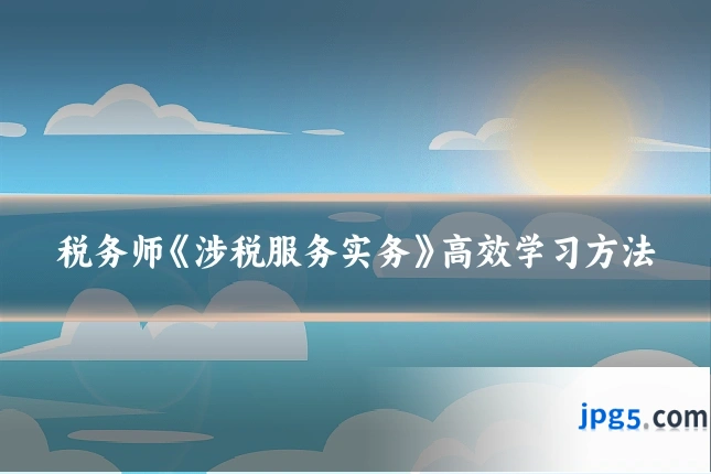 税务师《涉税服务实务》高效学习方法