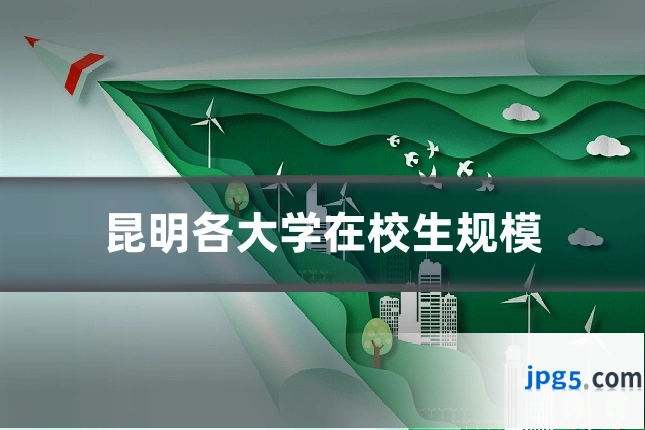昆明各大学在校生规模