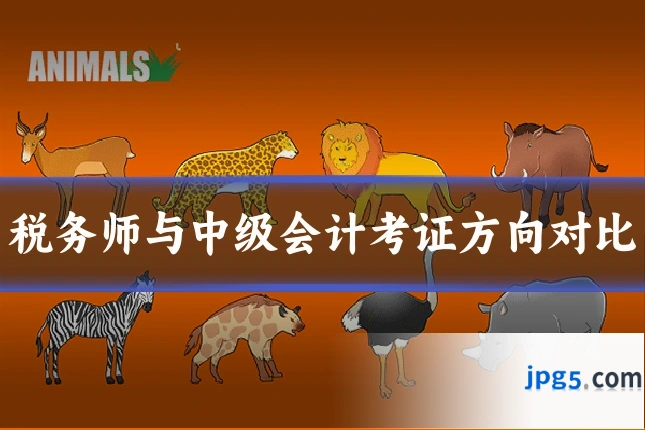 税务师与中级会计考证方向对比