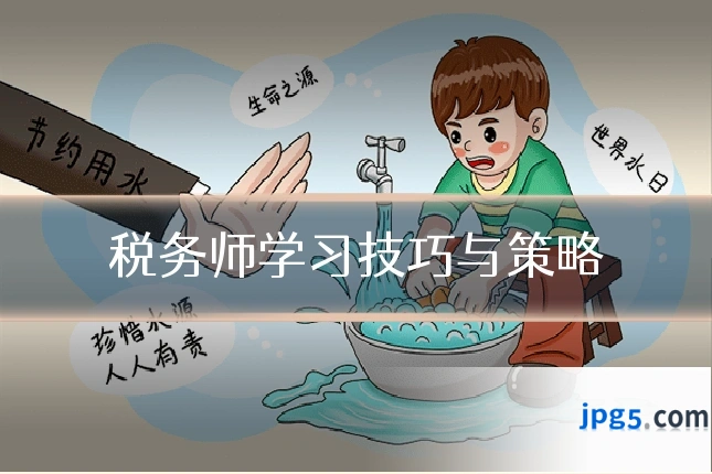 税务师学习技巧与策略