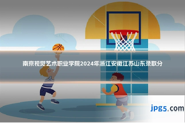 南京视觉艺术职业学院2024年浙江安徽江苏山东录取分