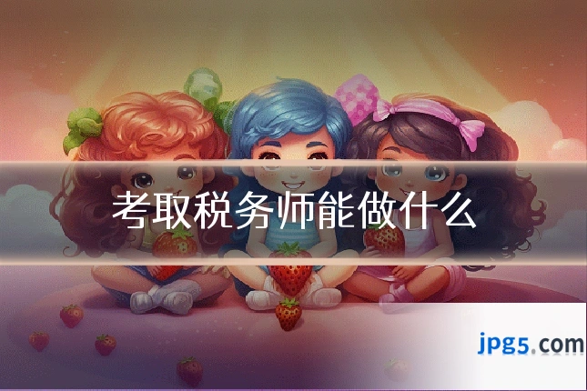 考取税务师能做什么