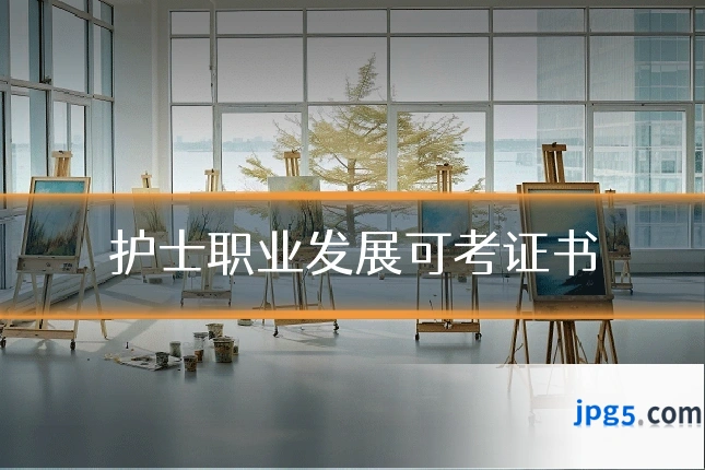 护士职业发展可考证书