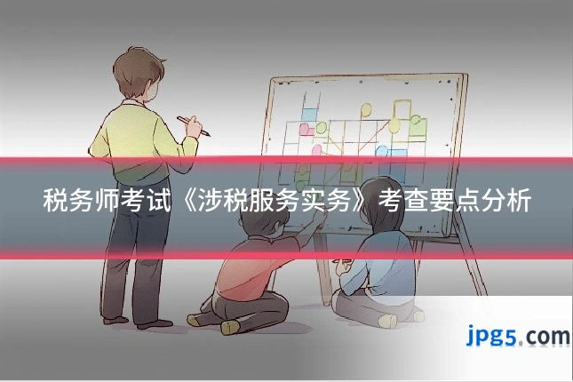 税务师考试《涉税服务实务》考查要点分析
