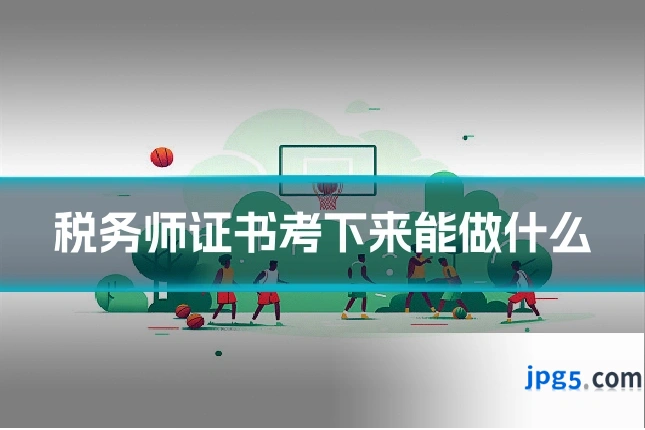 税务师证书考下来能做什么