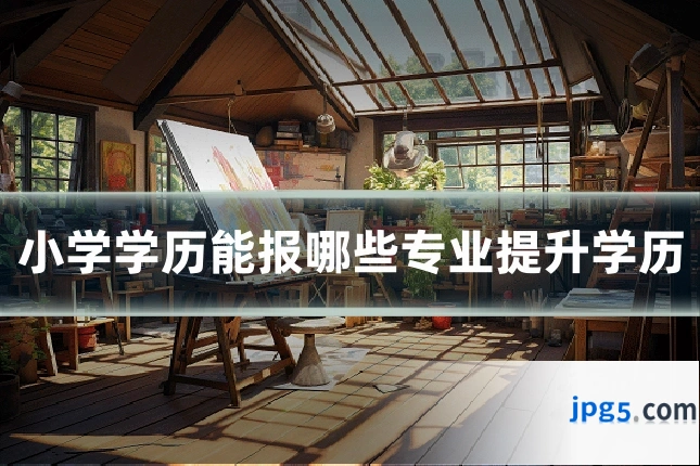 小学学历能报哪些专业提升学历