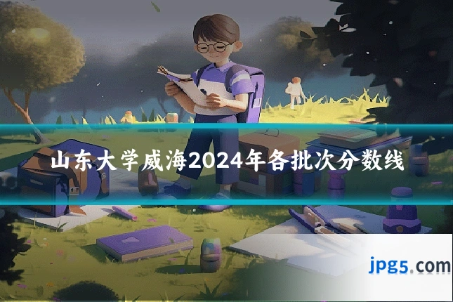 山东大学威海2024年各批次分数线