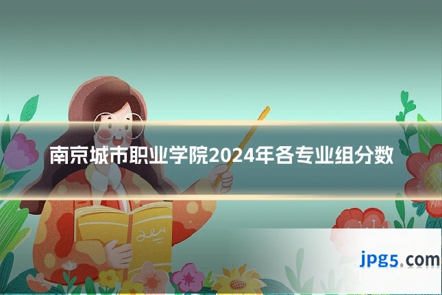 南京城市职业学院2024年各专业组分数