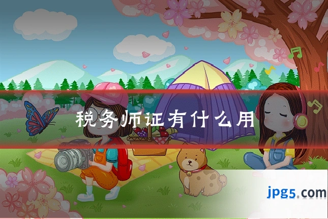 税务师证有什么用