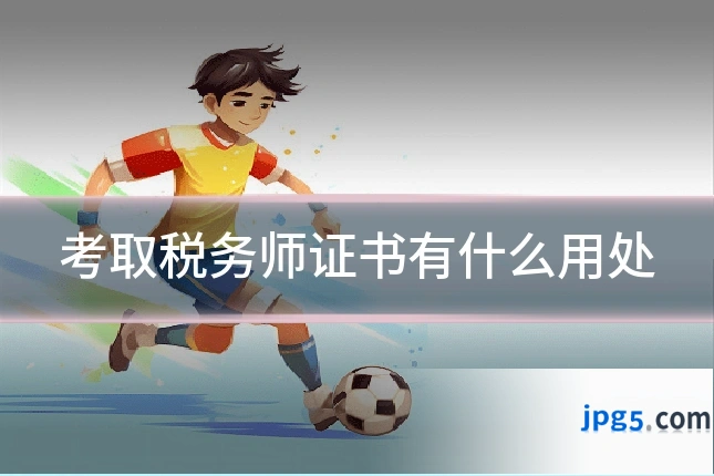 考取税务师证书有什么用处
