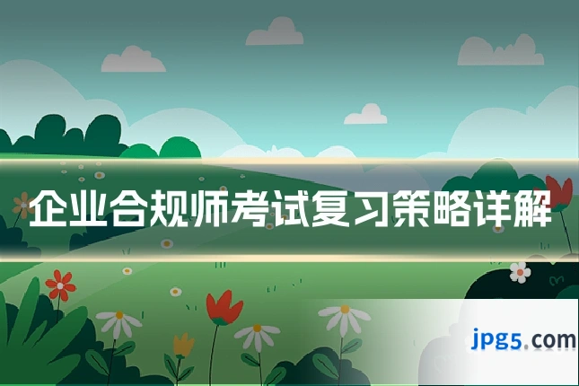 企业合规师考试复习策略详解