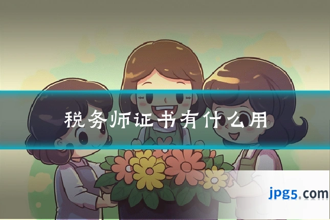 税务师证书有什么用