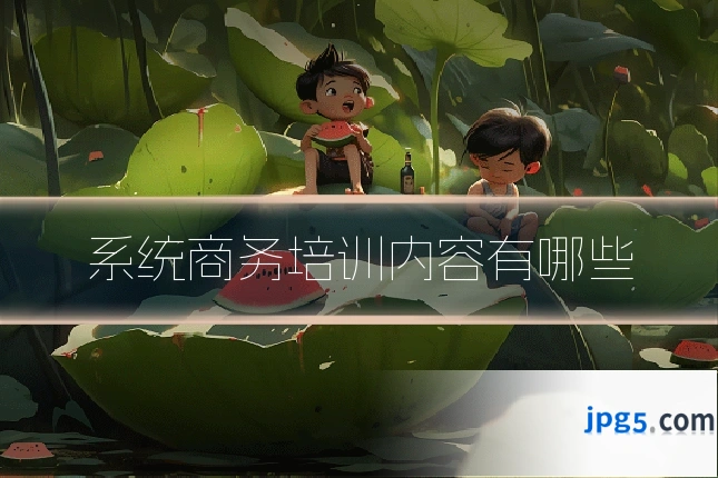系统商务培训内容有哪些