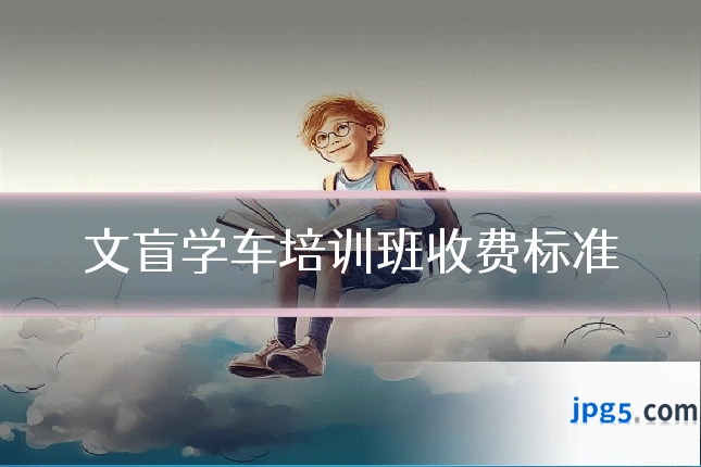 文盲学车培训班收费标准