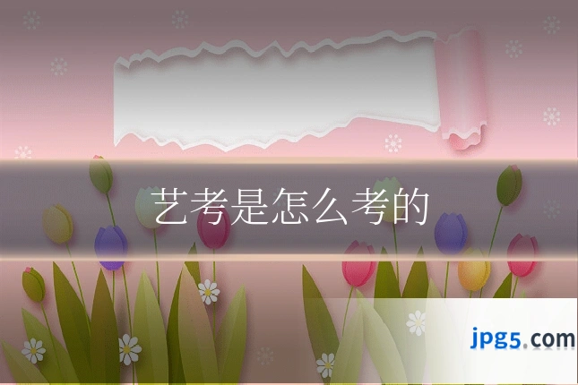 艺考是怎么考的