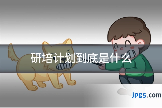 研培计划到底是什么